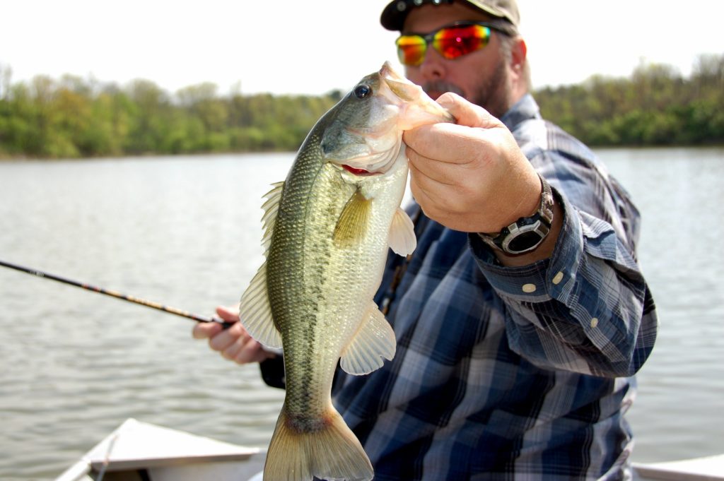 Best Fishing Gear For Largemouth Bass